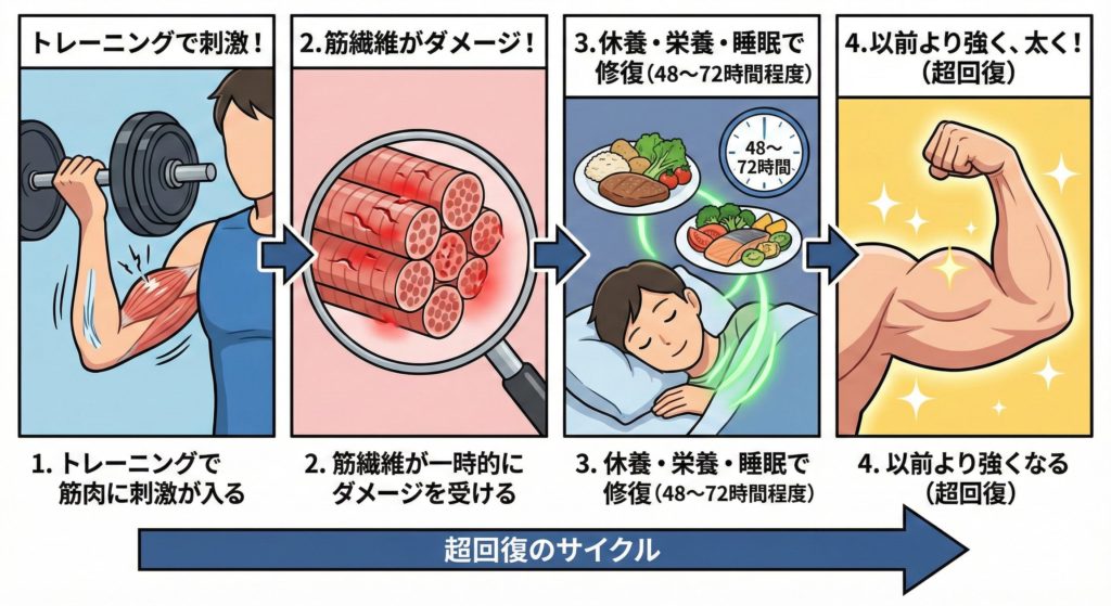 所沢 パーソナルジム 2日連続